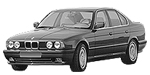 BMW E34 P384E Fault Code